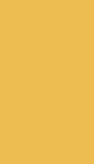 Краска Z1E NAPLES YELLOW Suzuki, 1л, 29370-0100, 