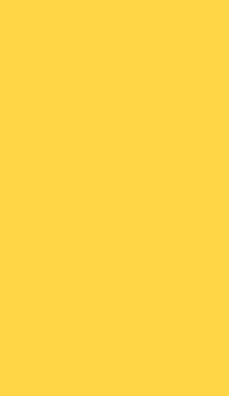 Краска YY SUNNY YELLOW Hyundai, 1л, 10852-0100, 